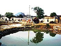 唐氏莊園 唐氏莊園