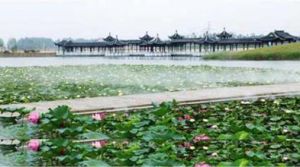 金沙湖生態旅遊風景區