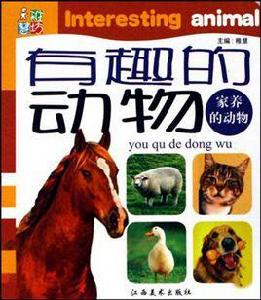 陸地上的動物-有趣的動物 陸地上的動物-有趣的動物