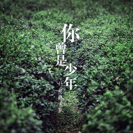 你曾是少年[好妹妹樂隊歌曲]