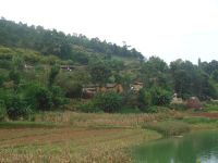 蔣家寨自然村 蔣家寨自然村