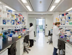 羅斯林研究所 羅斯林研究所