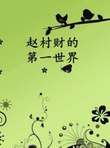 趙村財的第一世界