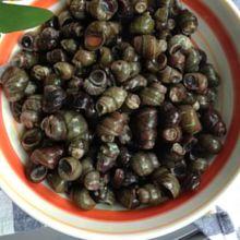 廣式香芋石螺粥