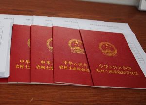 中國農地權基本問題 中國農地權基本問題