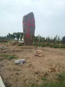 微山湖二級壩濕地公園 微山湖二級壩濕地公園