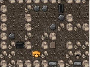 小狗闖迷宮 小狗闖迷宮