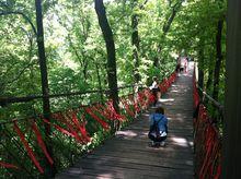 南華山神鳳文化景區