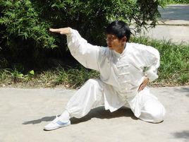 蛇拳[傳統拳術]