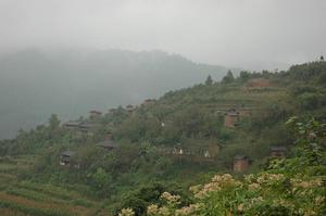 李子園一組村 李子園一組村