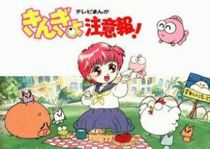 金魚注意報 金魚注意報