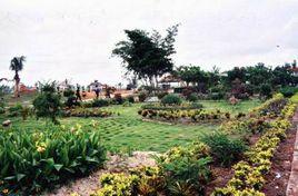 廣東省華僑農場 廣東省華僑農場