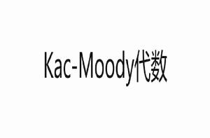 Kac-Moody代數 Kac-Moody代數