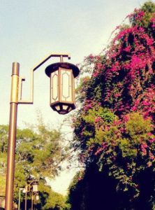 廈門市鐵路文化公園 廈門市鐵路文化公園