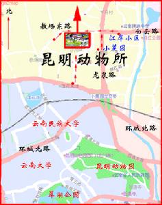中國科學院昆明動物研究所