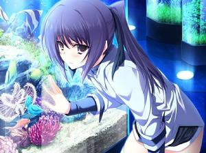 犬吠埼綾 犬吠埼綾