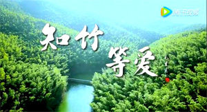 知竹,等愛 知竹,等愛