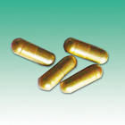 鹽酸美西律膠囊 鹽酸美西律膠囊