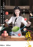 我的小姨[2016年顧晶執導電視劇]