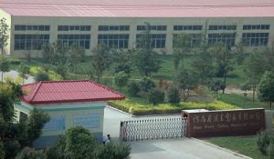 河南省迷王製衣有限公司