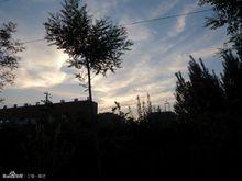 寧陵縣高級中學校園環境