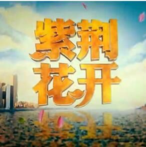 紫荊花開[香港回歸20周年五集大型紀錄片]