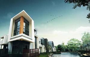 星島仁恆 星島仁恆