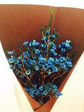 臘梅花[臘梅的別稱]