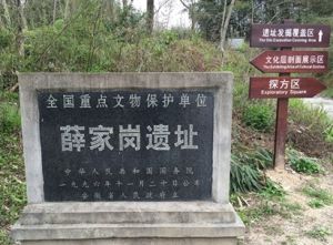 潛山薛家崗遺址 潛山薛家崗遺址