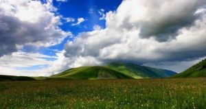 玉科大草原 玉科大草原