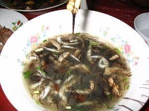 髮菜蛤蜊湯 髮菜蛤蜊湯