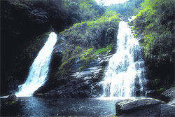 太平山國家森林遊樂區