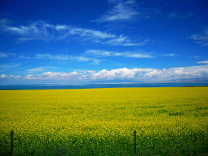 花兒戶外 花兒戶外