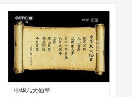 中華九大仙草 中華九大仙草