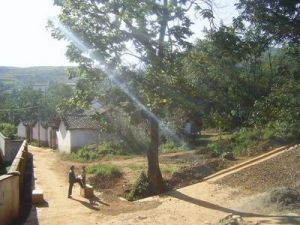 松棵邊自然村 松棵邊自然村