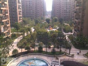 崑崙紅蘋果 崑崙紅蘋果