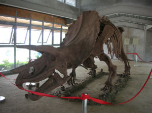 白塘生態植物園