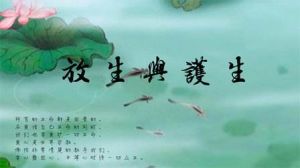 放生護生 放生護生