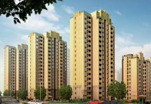 西堤社區 西堤社區