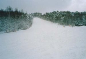 龍平滑雪度假區