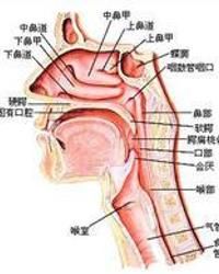 鼻後滴流綜合徵 鼻後滴流綜合徵