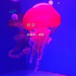 紅塵[傅曉的歌曲]