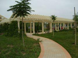 寧夏幼兒師範學校 寧夏幼兒師範學校