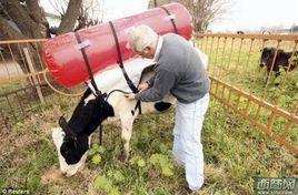 屁屁收集器 屁屁收集器