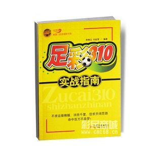 足彩310實戰指南