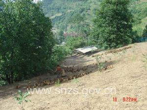 蔡玉窯鎮 蔡玉窯鎮