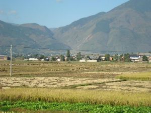 楊家營村[雲南大理彌渡縣彌城鎮下轄村]