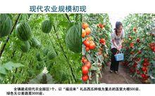 美原鎮現代農業示範園