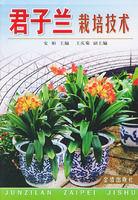君子蘭栽培技術 君子蘭栽培技術