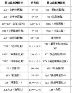 肝功能正常值 肝功能正常值